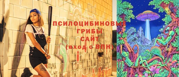 сатива Абдулино