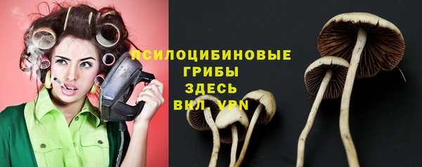 хмурый Покачи