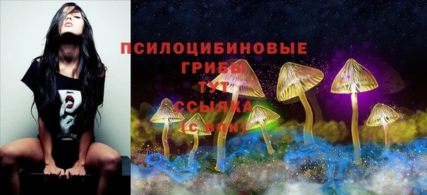 ешки Абаза