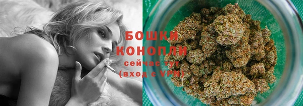 ПСИЛОЦИБИНОВЫЕ ГРИБЫ Покровск
