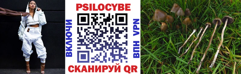 Галлюциногенные грибы прущие грибы Абинск