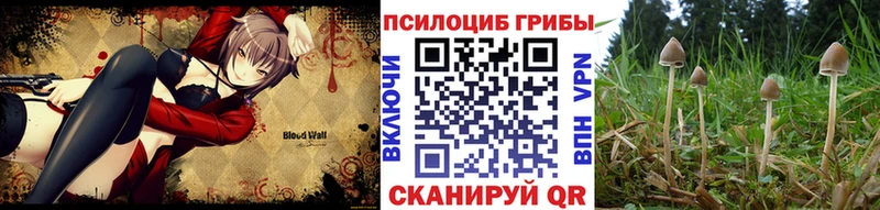 Псилоцибиновые грибы прущие грибы  Абинск 