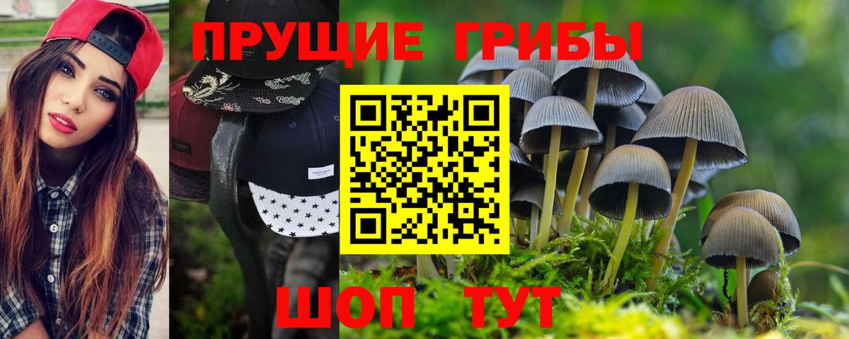 Абинск  Галлюциногенные грибы прущие грибы  Вход с VPN 