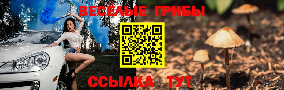 Псилоцибиновые грибы GOLDEN TEACHER Абинск